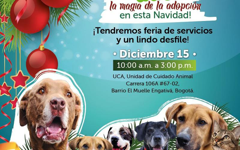 Gran Jornada de Adopción del IDPYBA ¡Vive la magia de la Adopción en esta Navidad!