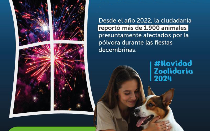 Animales presuntamente afectados por la pólvora durante las fiestas decembrinas