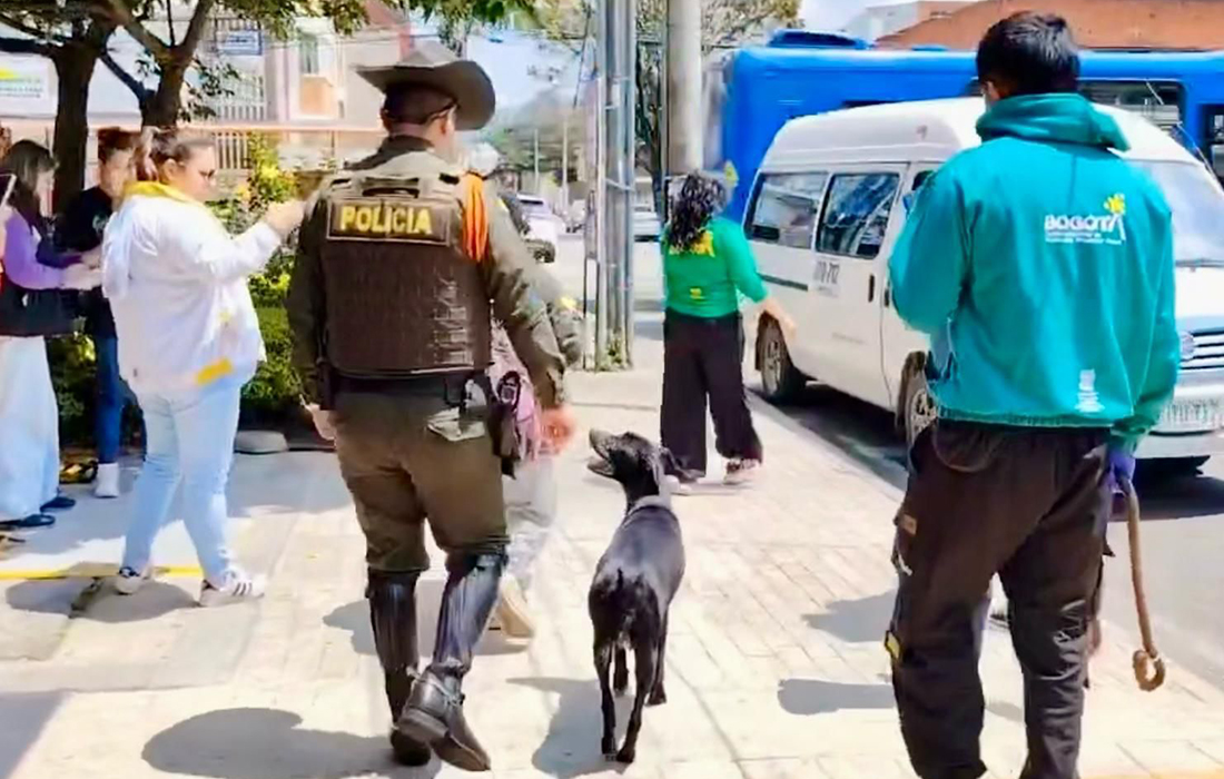 Distrito brinda atención integral a una ciudadana habitante de calle, su canina y cachorros recién nacidos