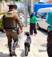 Distrito brinda atención integral a una ciudadana habitante de calle, su canina y cachorros recién nacidos