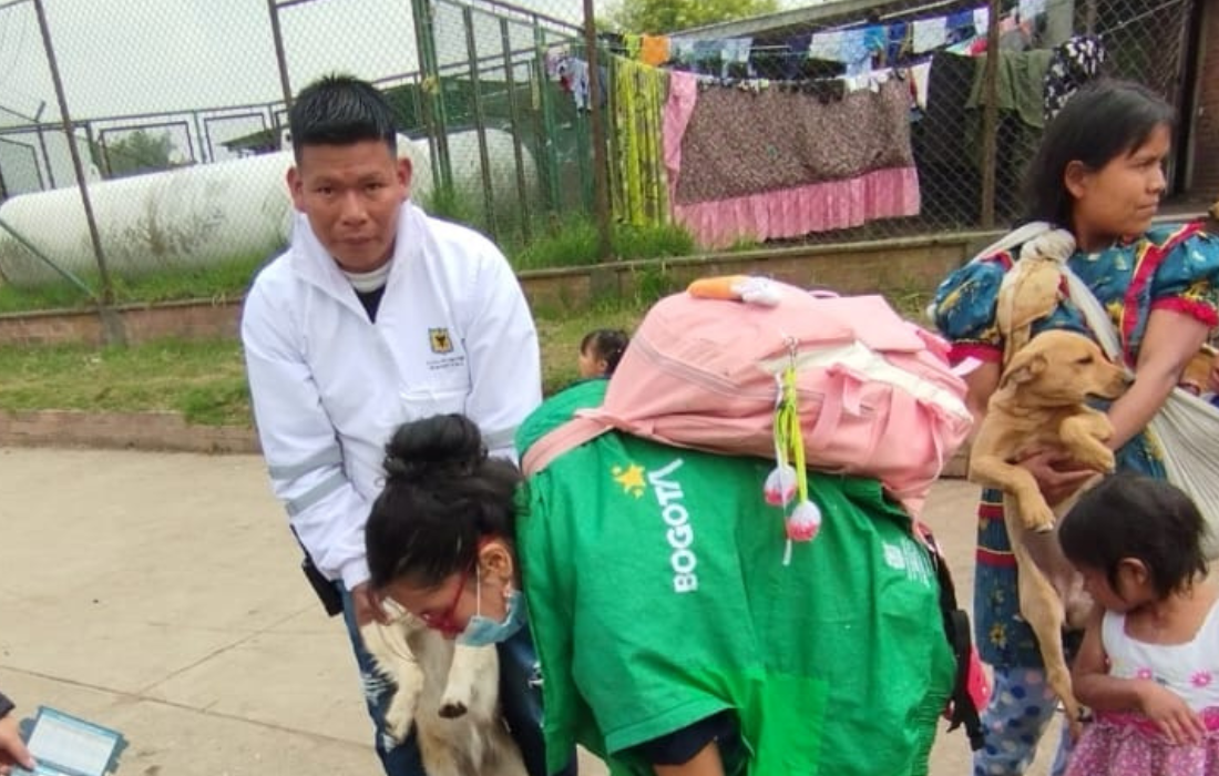 41 animales de compañía de la comunidad Embera fueron atendidos en la UPI La Florida, Engativá