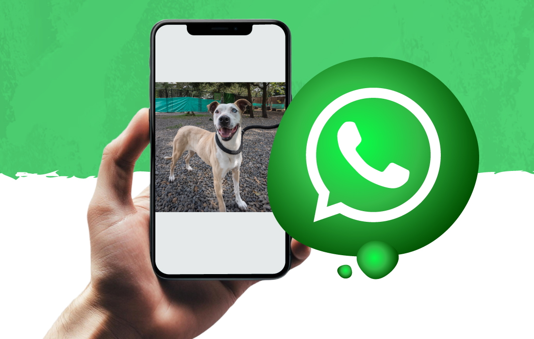 ¿Sabías que tenemos canal en WhatsApp?