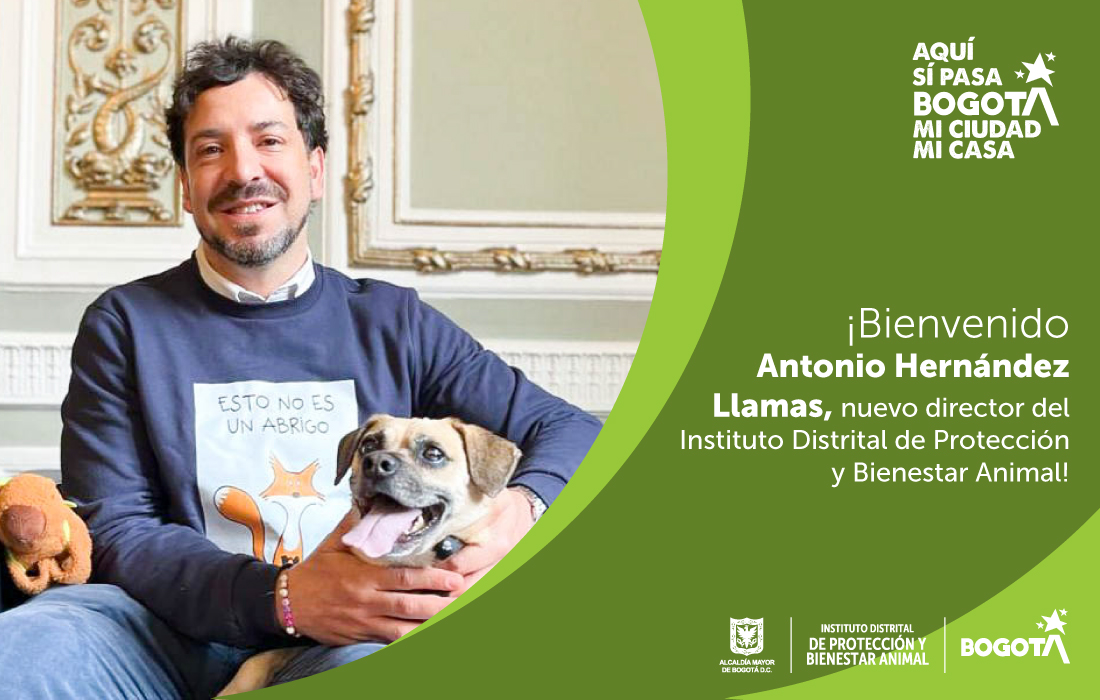 Antonio Hernández Llamas nuevo Director del Instituto Distrital de Protección y Bienestar Animal, IDPYBA