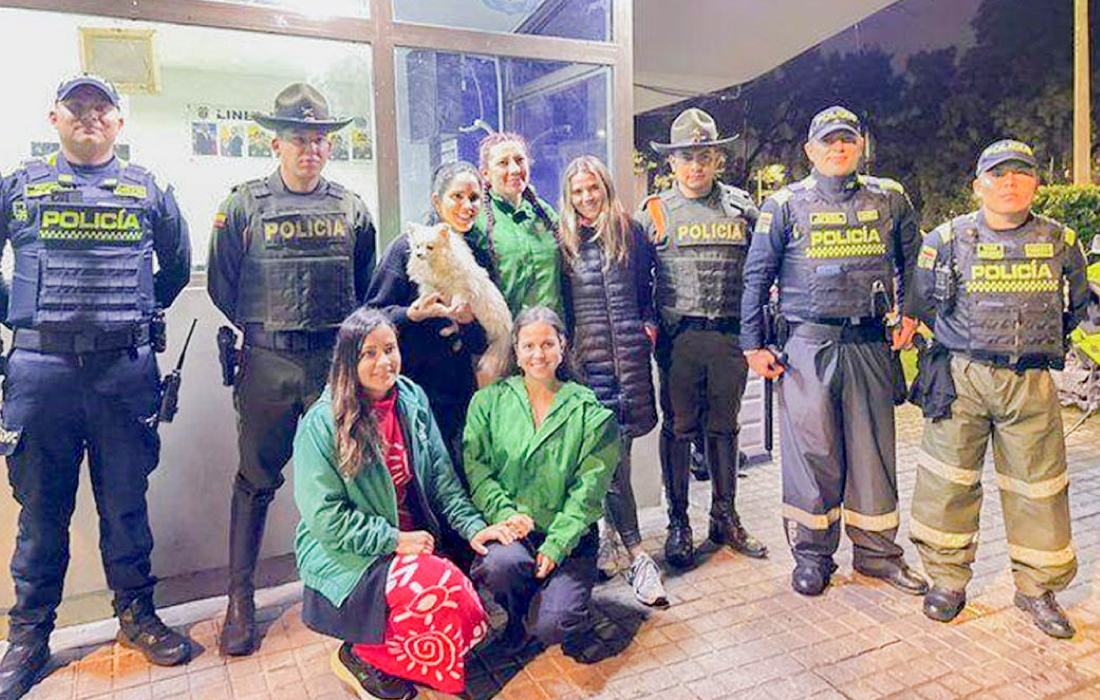 Duquesa, la perrita que presuntamente había sido hurtada,  fue rescatada en un operativo interinstitucional