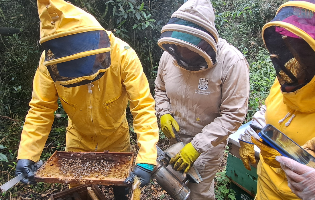 Con acompañamiento de la Personería, IDPYBA verifica bienestar de abejas adoptadas