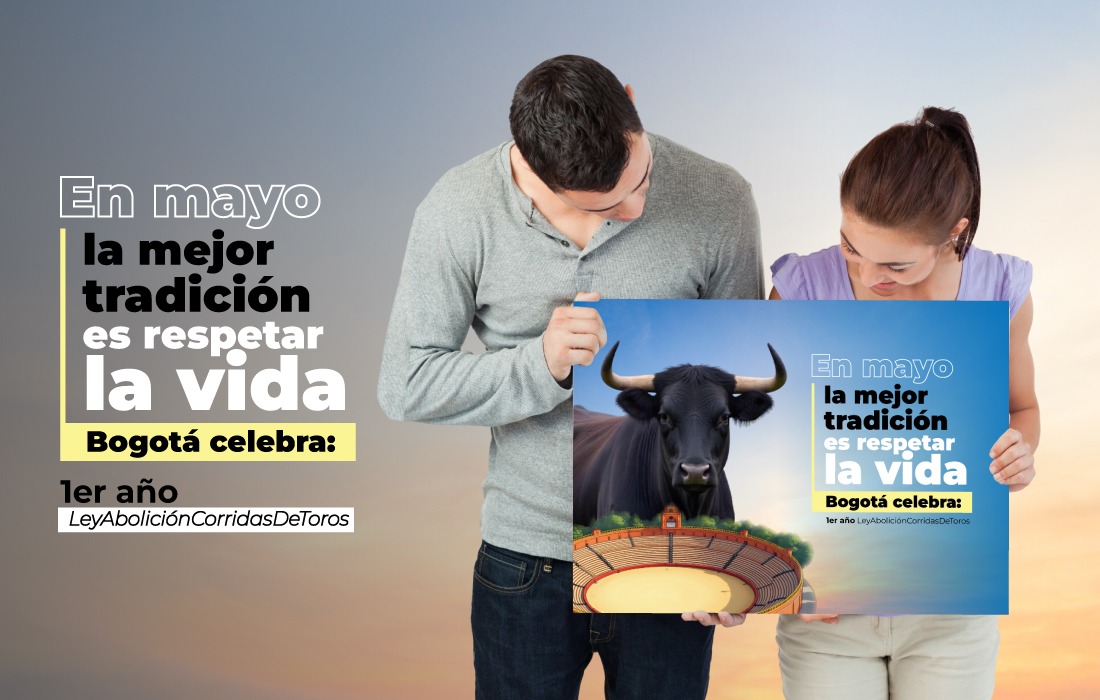 Imagen creada para la conmemorar el primer año de la ley