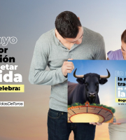 Imagen creada para la conmemorar el primer año de la ley