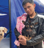 hombre con dos perro en los brazos y un perro adicional al lado