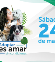 pieza gráfica para jornada de adopción IDPYBA