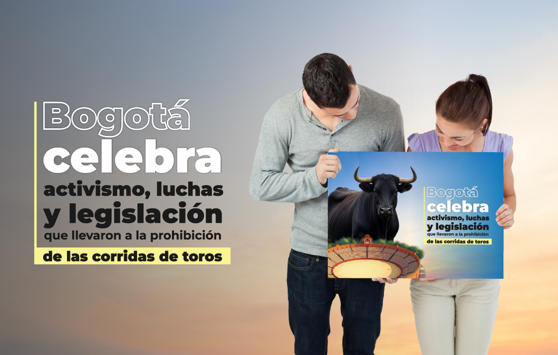 Ley antitaurina: no es una derrota cultural sino una victoria ciudadana