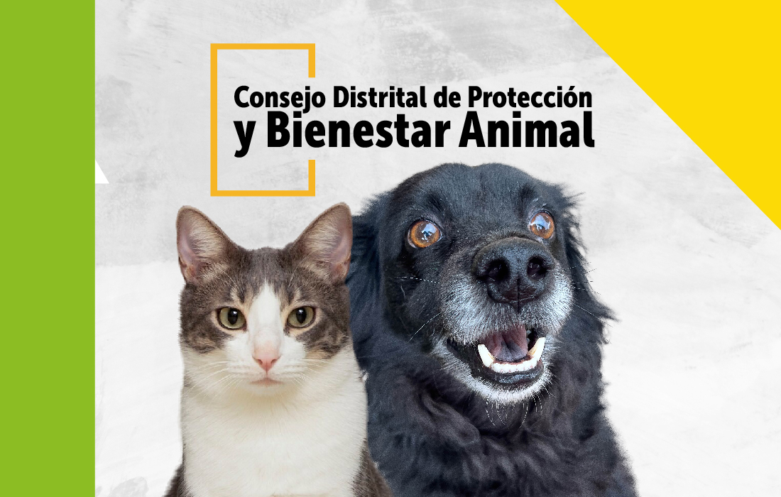 Consejo Distrital de protección y bienestar animal