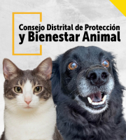 Consejo Distrital de protección y bienestar animal