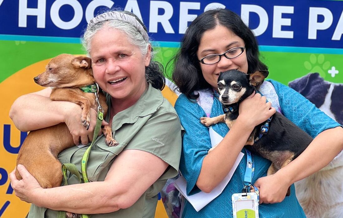 Jornada de adopción julio 19 Uca 
