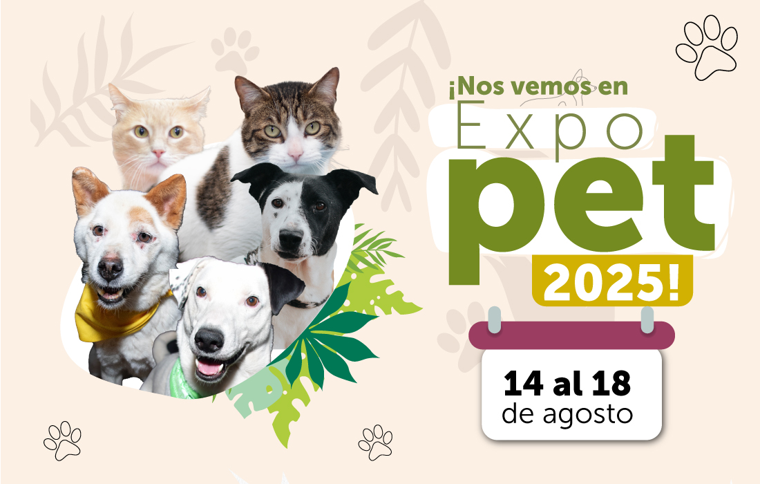  Bogotá garantizará bienestar y protección animal en Expopet 2025