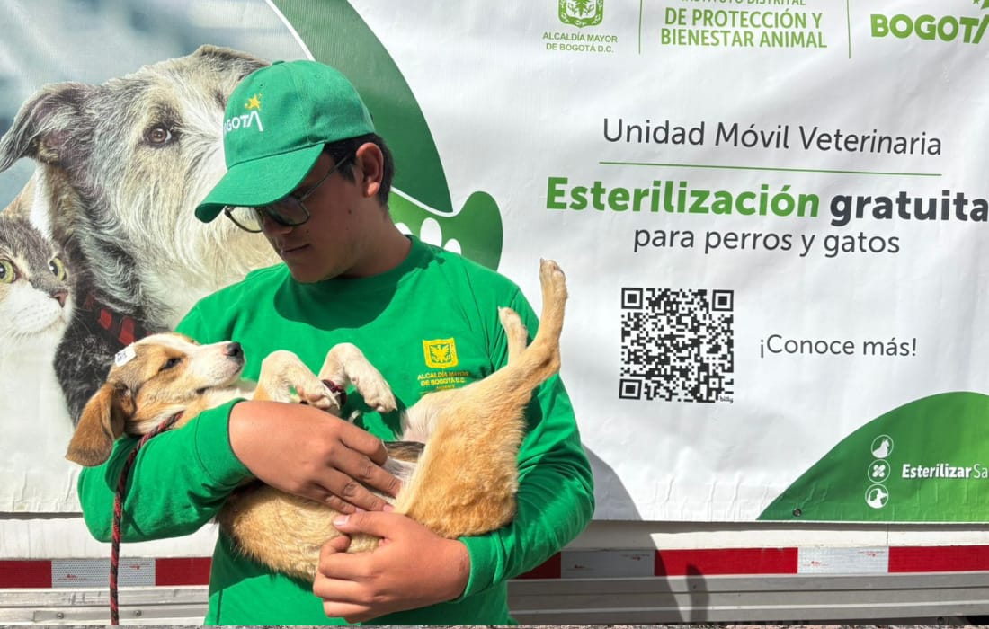 101 animales esterilizados en Sumapaz