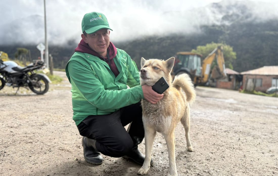 101 animales esterilizados en Sumapaz