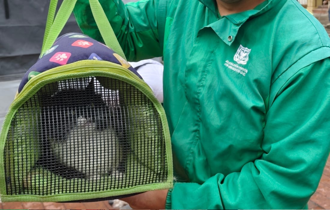 dos mil turnos de esterilización
