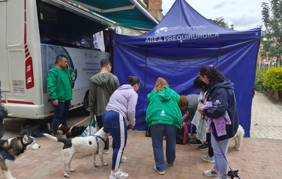 dos mil turnos de esterilización
