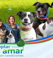 Theatrón abre sus puertas a una jornada de adopción para celebrar el amor sin condiciones