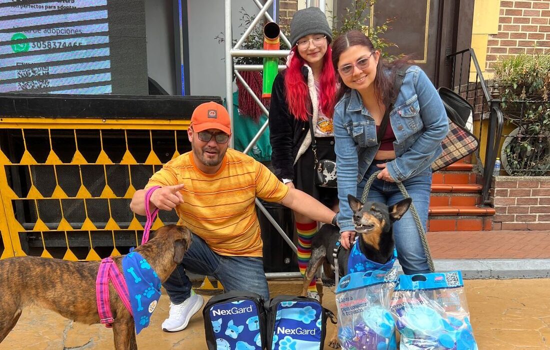 13 animales encontraron nuevo hogar en jornada de adopción en Theatrón