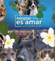 Diseño portada brochure 