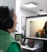 Alcaldía de Bogotá ofrece servicio gratuito de  teleorientación veterinaria a través de Televet