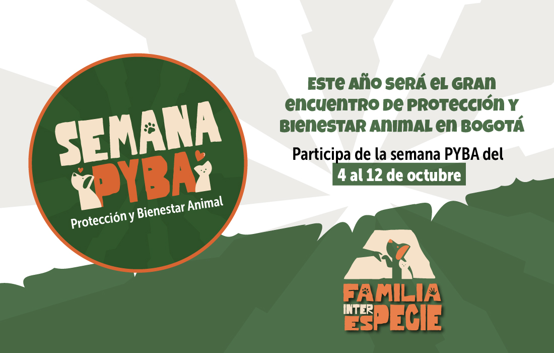 Bogotá celebra la XIII Semana Distrital de Protección y Bienestar Animal (PYBA) “Familia interespecie”