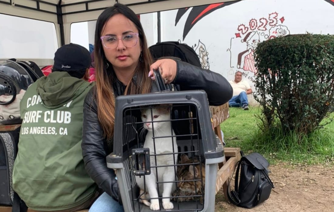 600 cupos esterilizaciones en la Universidad Nacional