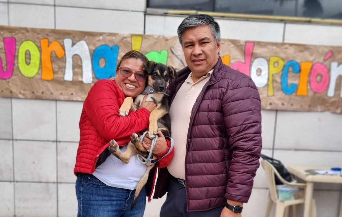 Jornada adopcion centro mayor