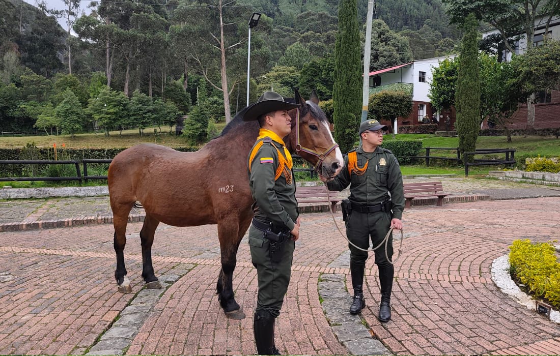 Equinos héroes entregan sus riendas de servicio: 10 caballos inician una nueva vida junto a sus familias adoptantes