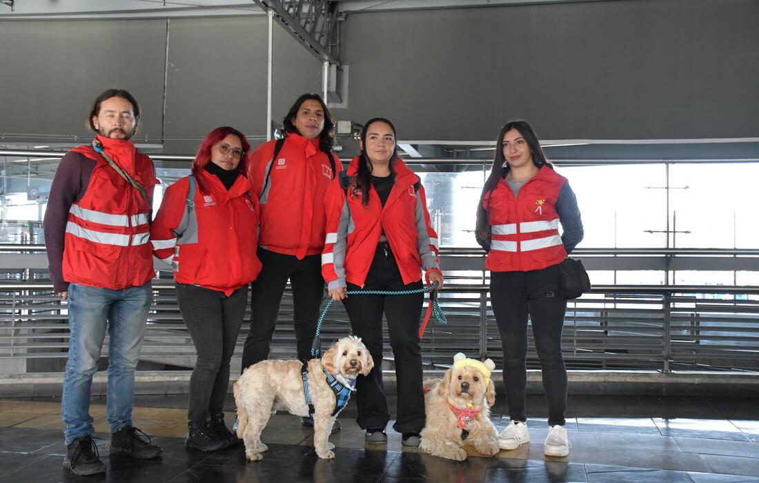 Bogotá avanza en el bienestar animal: TRANSMILENIO S.A.  y el IDPYBA firman convenio para atender casos de abandono en el Sistema y capacitación de conductores