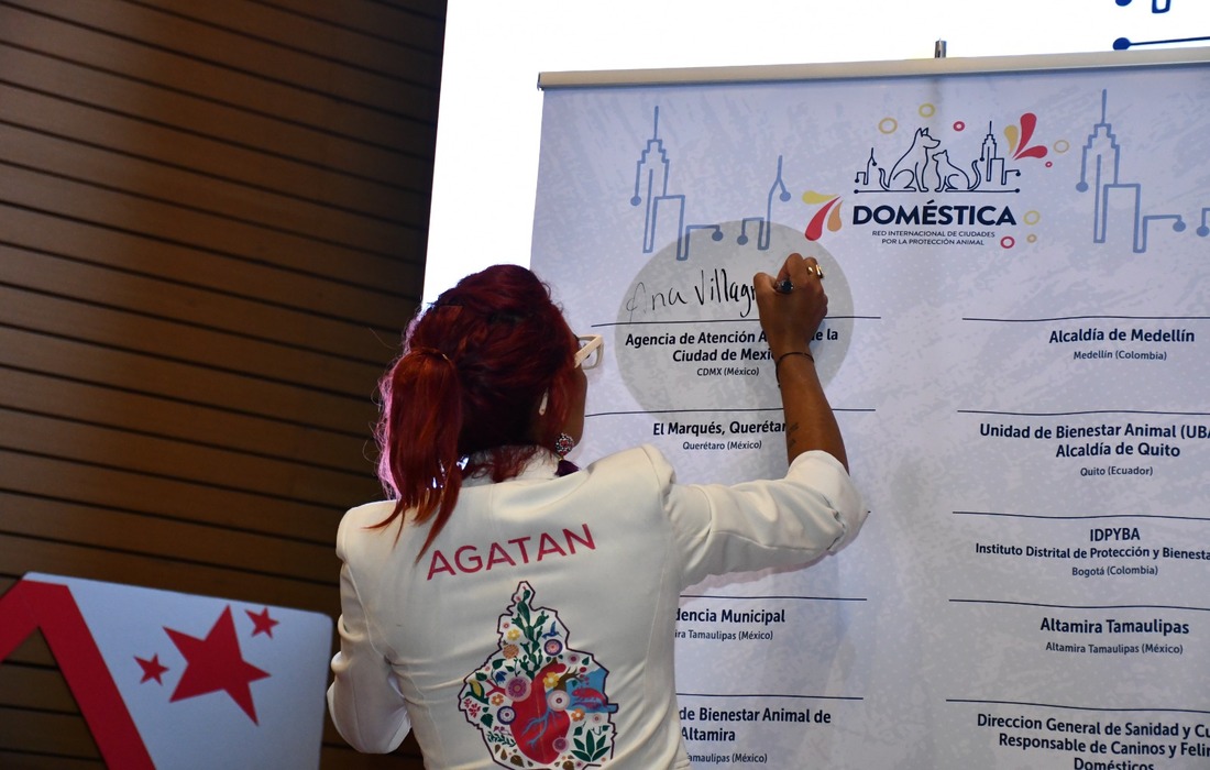 Bogotá lideró el primer Encuentro Internacional de Ciudades por la Fauna Doméstica