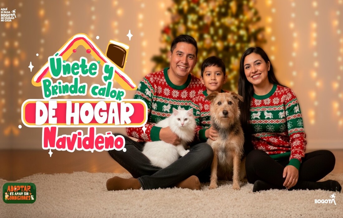 El IDPYBA presenta la estrategia Brinda Calor de Hogar Navideño