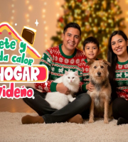 El IDPYBA presenta la estrategia Brinda Calor de Hogar Navideño
