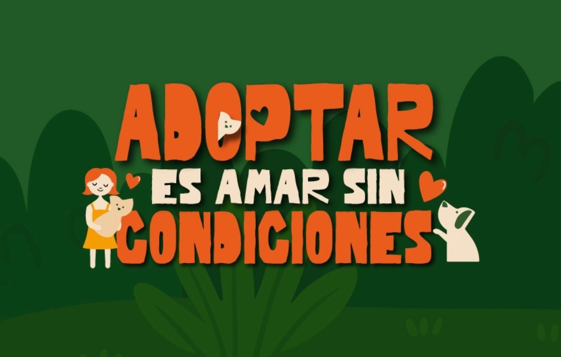 Bogotá presenta los animales de compañía disponibles para adopción