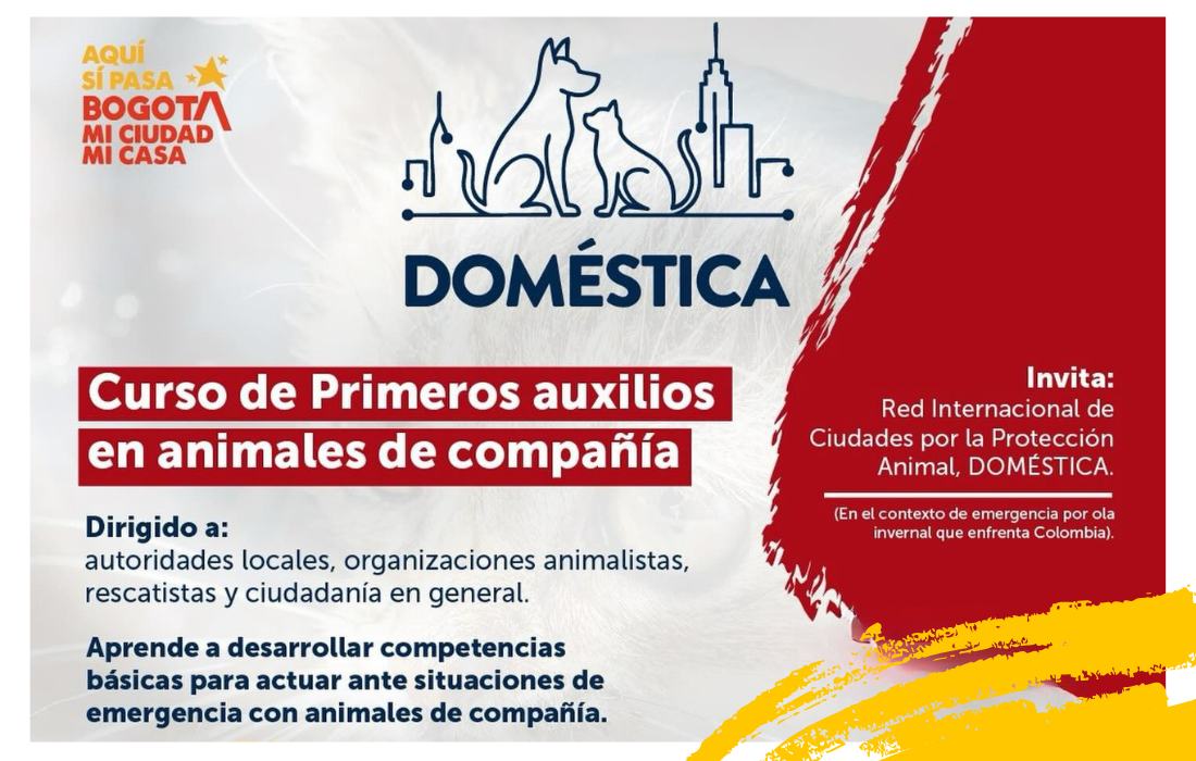   Ante la ola invernal en Colombia, la Red Doméstica lanza curso gratuito para proteger a los animales