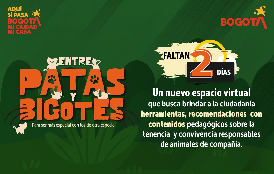 Imagen de la campaña patas y bigotes, en texto dice que fatan dos dias para este espacio virtual 