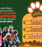 Alcaldía Mayor de Bogotá invita a cuatro jornadas de adopción durante el mes de abril