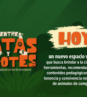 Imagen de la campaña patas y bigotes, en texto dice que fatan dos dias para este espacio virtual 