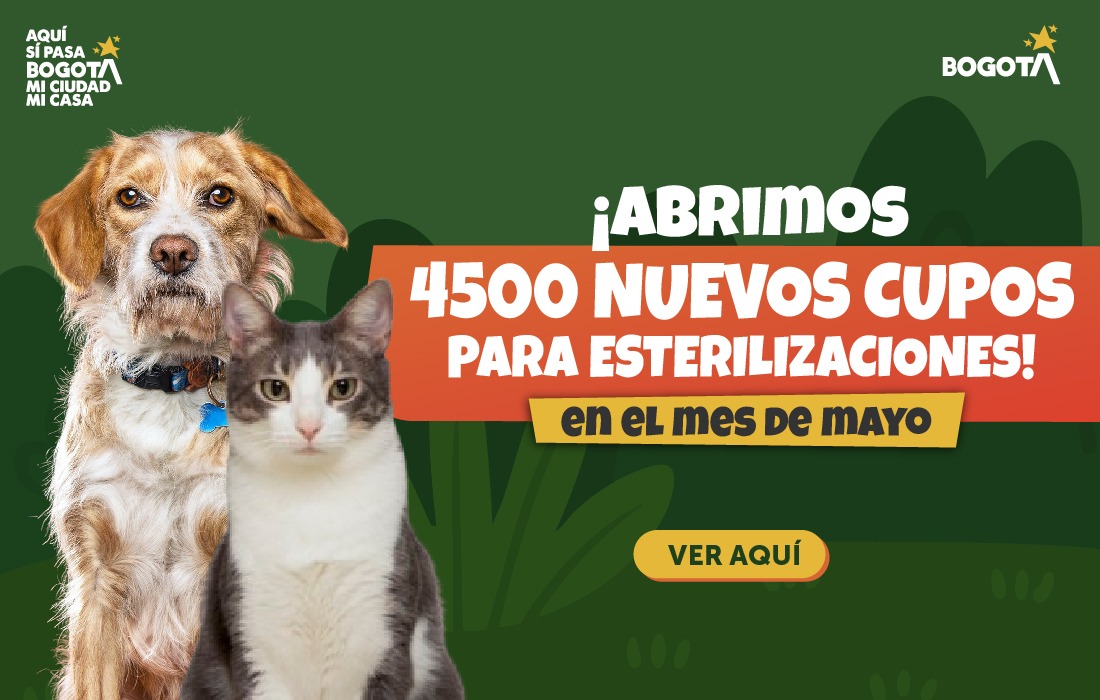 Bogotá habilita 4.500 nuevos cupos gratuitos de esterilización para perros y gatos en mayo