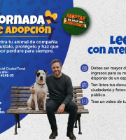 En el Mes del Padre, el IDPYBA invita a dar una segunda oportunidad a perros y gatos mayores adultos, en dos jornadas especiales de adopción