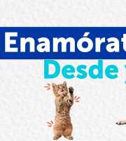 Adoptar con el IDPYBA es adoptar con acompañamiento, bienestar y compromiso