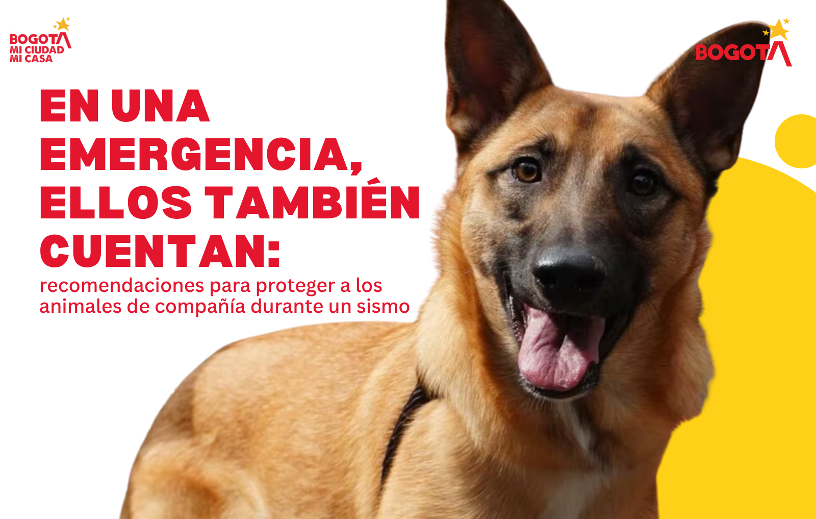 en una emergencia, ellos también cuentan