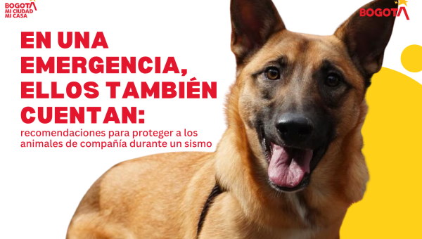 en una emergencia, ellos también cuentan