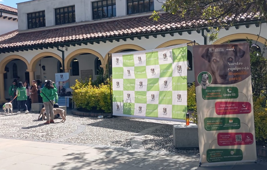 Imagen 1: Personas y perros participan en una jornada del Instituto Distrital de Protección y Bienestar Animal, en un espacio al aire libre con material informativo sobre bienestar animal.  Imagen 2: Gato de pelaje carey sentado en unas escaleras de piedra junto a una zona verde.  Imagen 3: Perro negro acostado sobre el césped de un parque, con arnés y collar.  Imagen 4: Personas y perros participan en una actividad de bienestar animal en un espacio institucional, con material informativo y carpas.