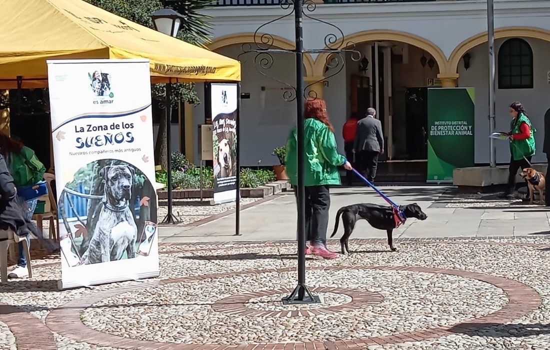 Imagen 1: Personas y perros participan en una jornada del Instituto Distrital de Protección y Bienestar Animal, en un espacio al aire libre con material informativo sobre bienestar animal.  Imagen 2: Gato de pelaje carey sentado en unas escaleras de piedra junto a una zona verde.  Imagen 3: Perro negro acostado sobre el césped de un parque, con arnés y collar.  Imagen 4: Personas y perros participan en una actividad de bienestar animal en un espacio institucional, con material informativo y carpas.