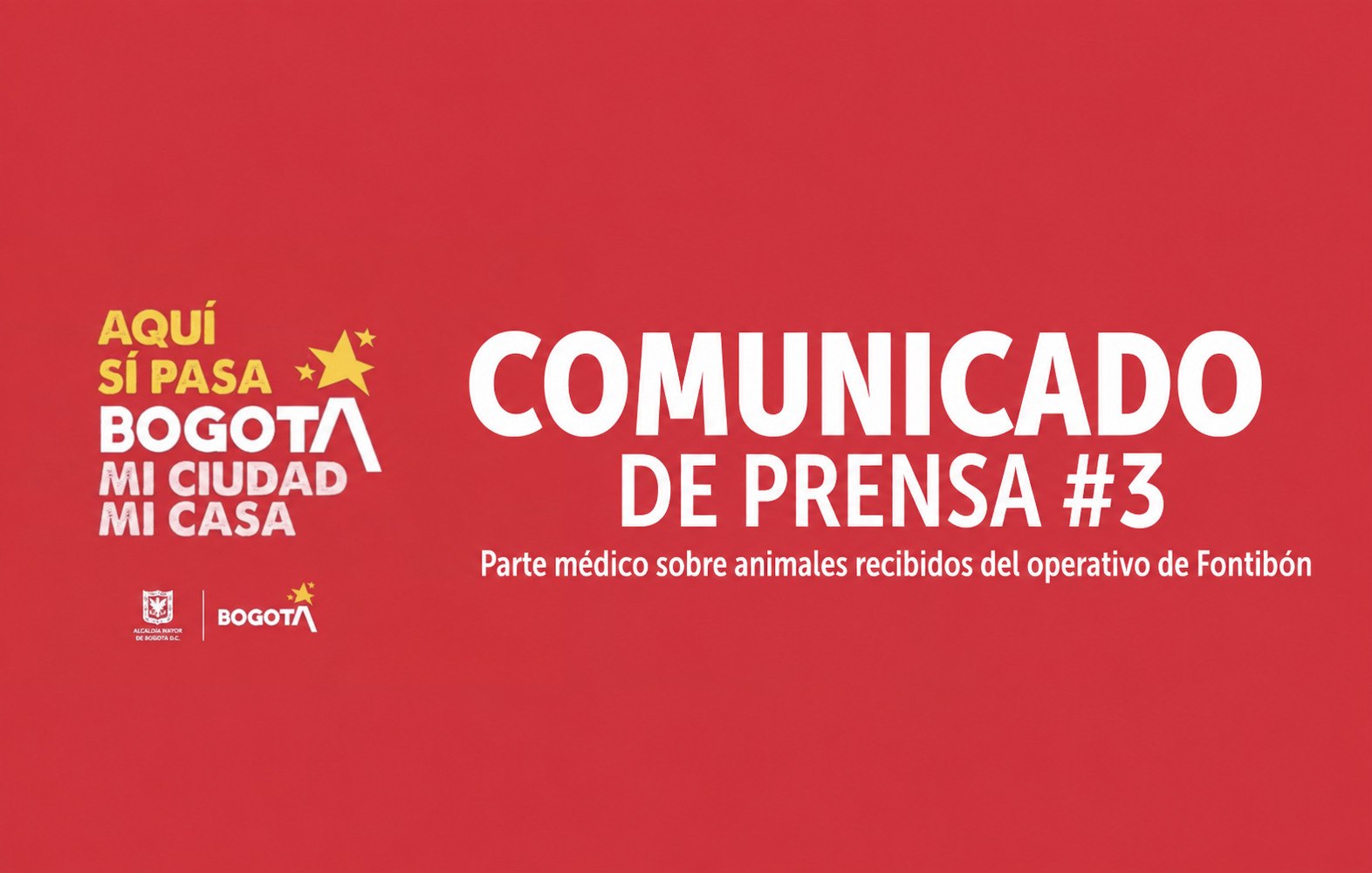 Comunicado #3 Parte médico sobre animales recibidos del operativo de Fontibón