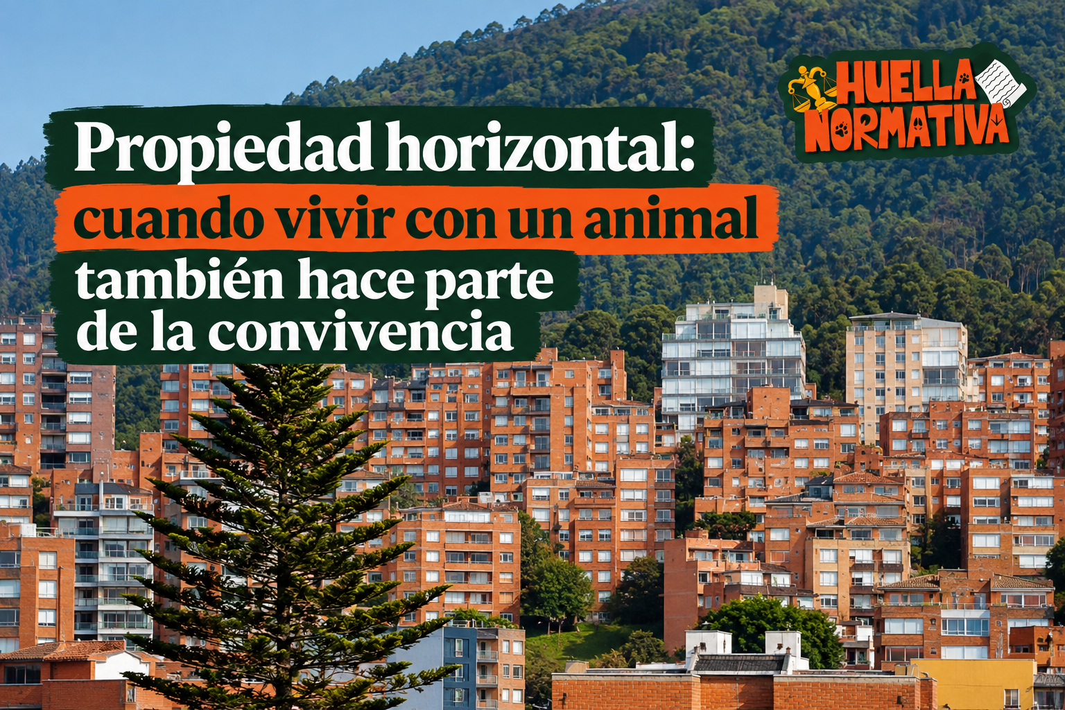 Propiedad horizontal: cuando vivir con un animal también hace parte de la convivencia