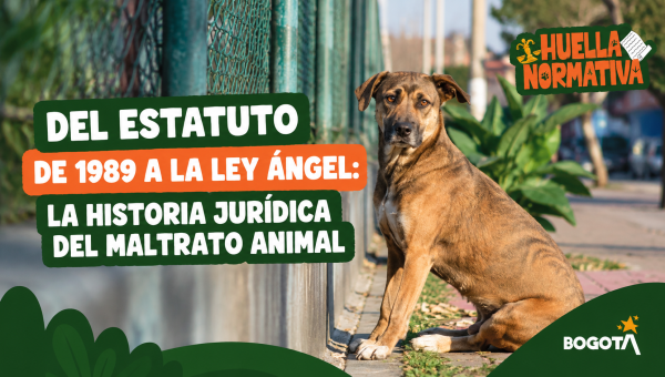 Del Estatuto de 1989 a la Ley Ángel: seguir la historia jurídica del maltrato animal