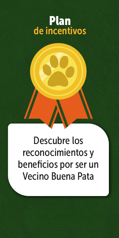 Animales disponibles para adopción